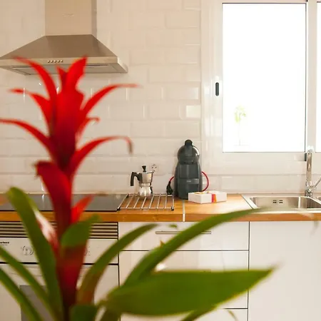 Marcela&joaquin Mountain House *