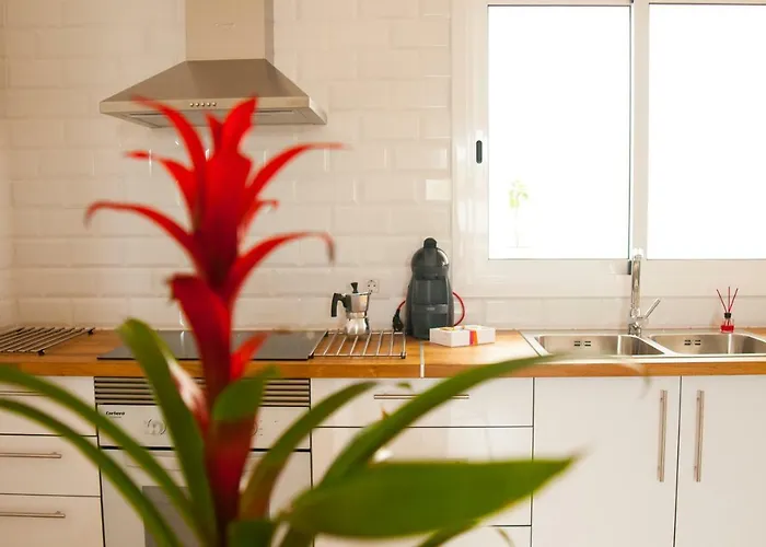 Marcela&joaquin Mountain House *