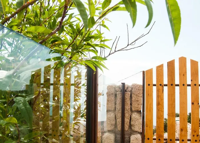 Marcela&joaquin Mountain House Фасния